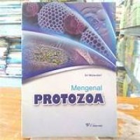 Mengenal Protozoa
